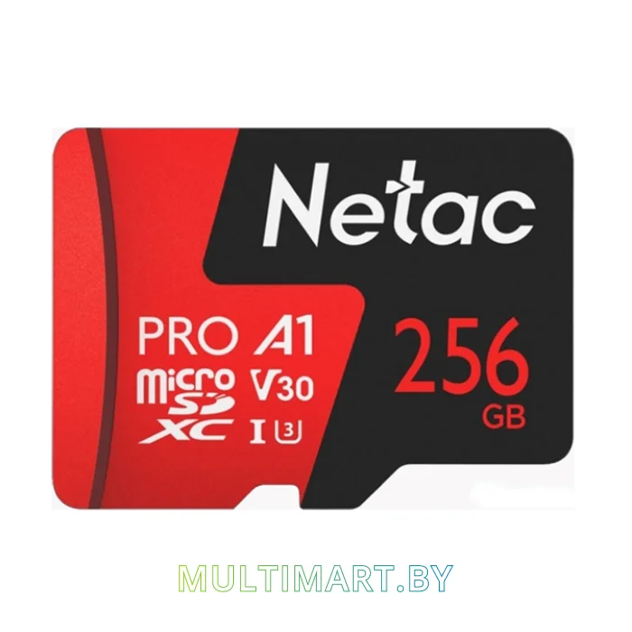 Карта памяти Netac P500 Extreme Pro 256GB (NT02P500PRO-256G-S)